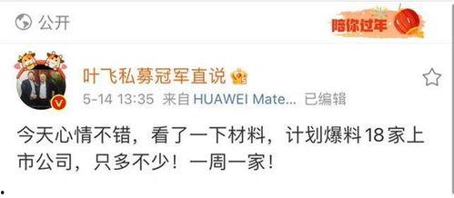 叶飞私募冠军爆料名单最新,最新名单背后的投资秘密与风险警示  第3张